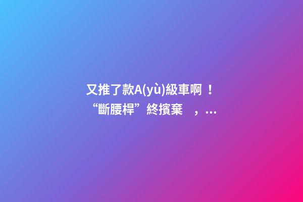 又推了款A(yù)級車啊！“斷腰桿”終擯棄，現(xiàn)代這款很帥的三廂或8萬起？